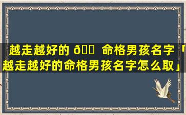 越走越好的 🐠 命格男孩名字「越走越好的命格男孩名字怎么取」